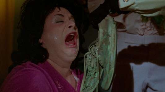 Polyester - Backdrop