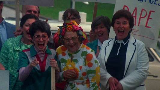 Polyester - Backdrop