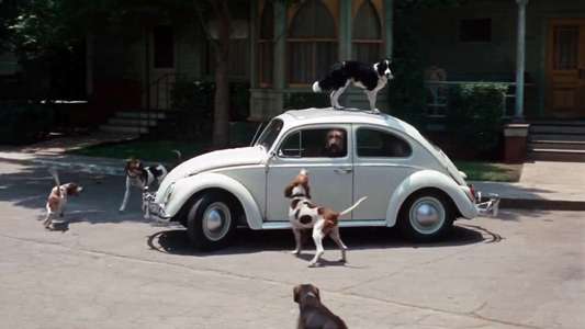 The Love Bug - Backdrop