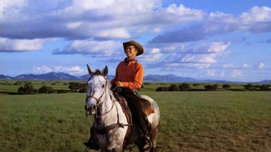 Oklahoma! - Backdrops