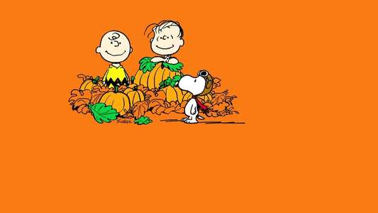 It's the Great Pumpkin  Charlie Brown - Backdrop