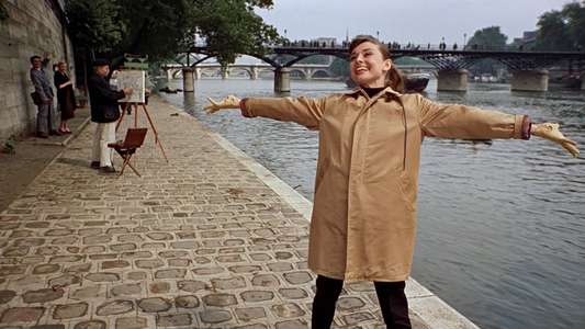 Funny Face - Backdrop