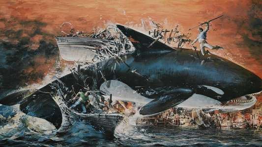 Orca - Backdrop