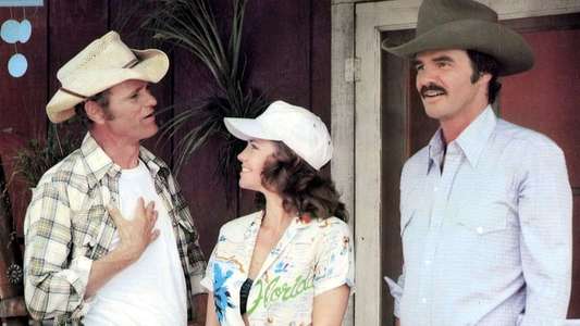 Smokey and the Bandit II - Backdrop