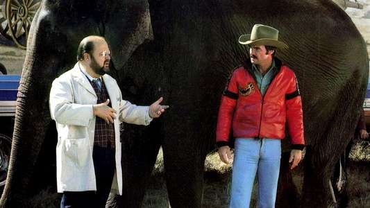 Smokey and the Bandit II - Backdrop