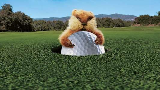 Caddyshack - Backdrop