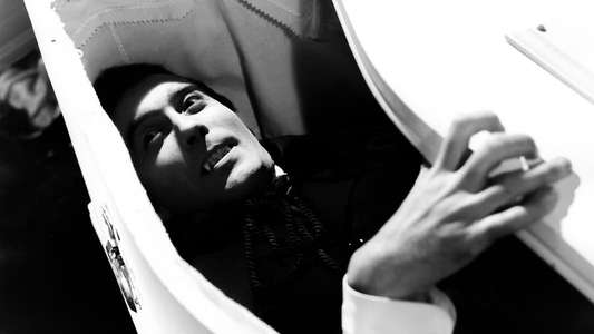 Dracula - Backdrop
