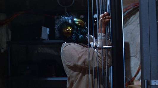 The Fly - Backdrop