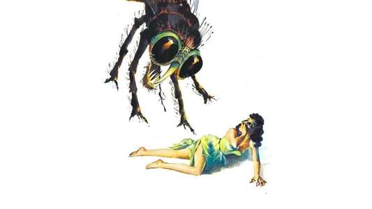 The Fly - Backdrop