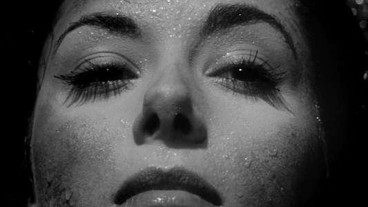Invasion of the Body Snatchers - Backdrop