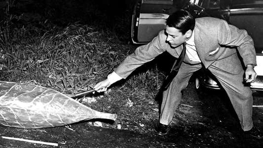 Invasion of the Body Snatchers - Backdrop