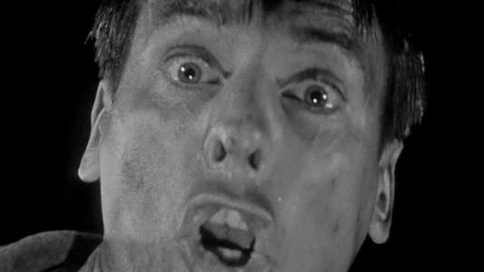 Invasion of the Body Snatchers - Backdrop