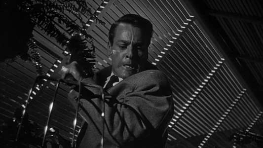 Invasion of the Body Snatchers - Backdrop