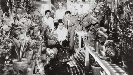 Invasion of the Body Snatchers - Backdrop