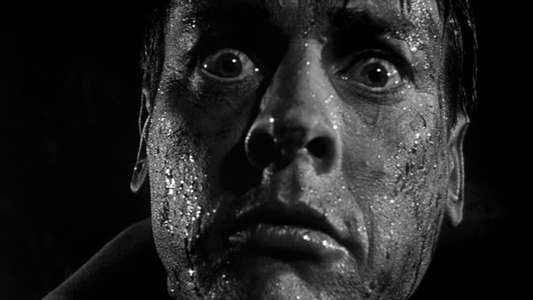 Invasion of the Body Snatchers - Backdrop