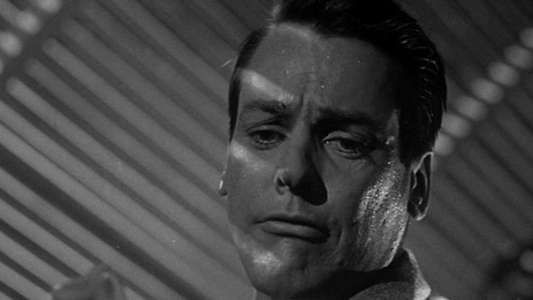 Invasion of the Body Snatchers - Backdrop