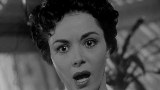 Invasion of the Body Snatchers - Backdrop