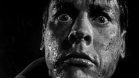 Invasion of the Body Snatchers - Backdrop