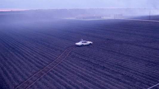 Blood Simple - Backdrop