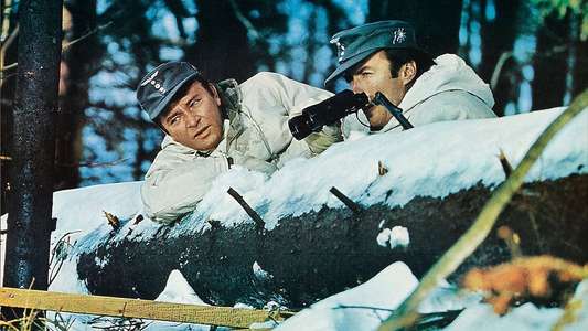 Where Eagles Dare - Backdrop
