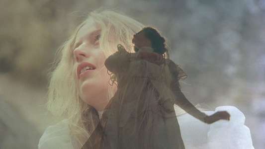 Picnic at Hanging Rock - Backdrop