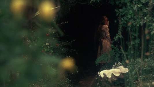 Picnic at Hanging Rock - Backdrop