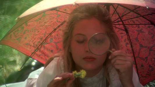 Picnic at Hanging Rock - Backdrop