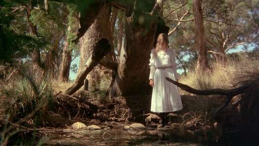Picnic at Hanging Rock - Backdrop