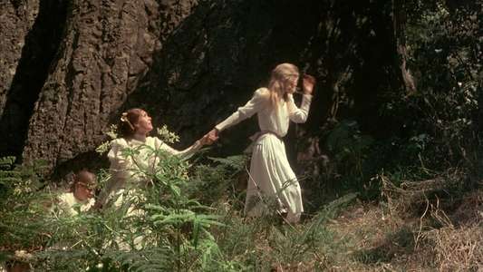 Picnic at Hanging Rock - Backdrop