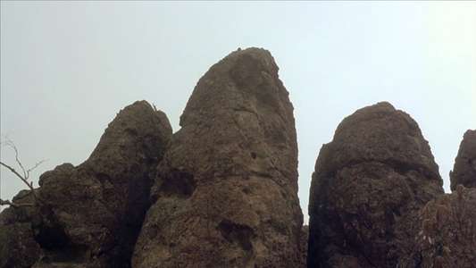 Picnic at Hanging Rock - Backdrop
