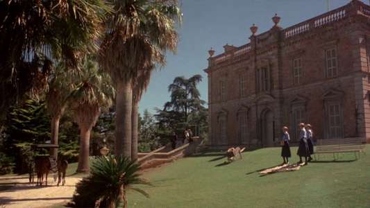Picnic at Hanging Rock - Backdrop