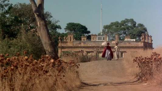 Picnic at Hanging Rock - Backdrop