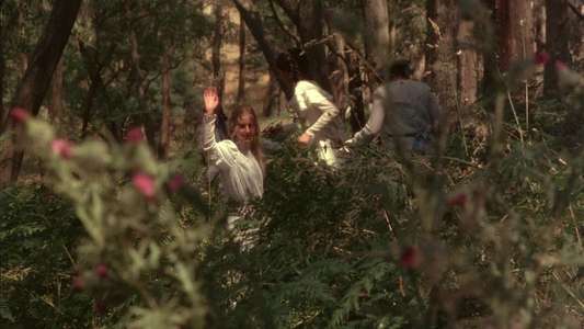 Picnic at Hanging Rock - Backdrop