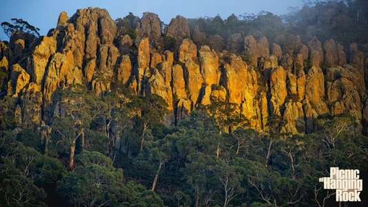 Picnic at Hanging Rock - Backdrop