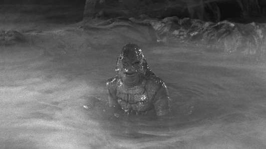 Creature from the Black Lagoon - Backdrop