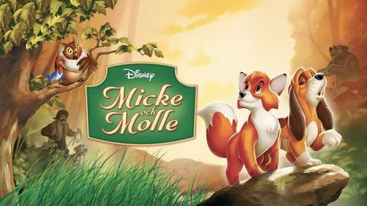 The Fox and the Hound - Backdrops