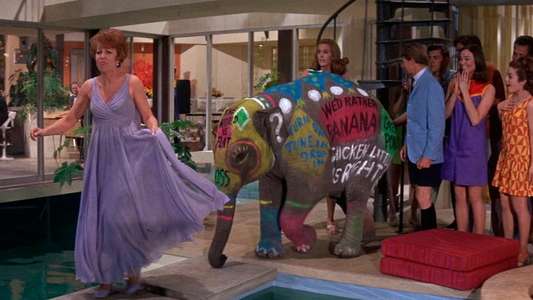The Party - Backdrop