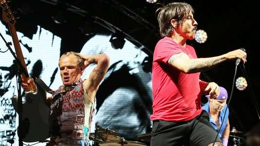 Red Hot Chili Peppers: Lollapalooza - Backdrop