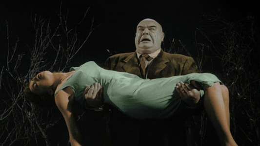 Plan 9 from Outer Space - Backdrop