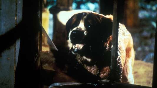 Cujo - Backdrop