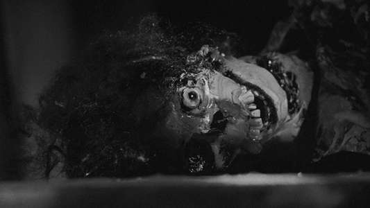 Night of the Living Dead - Backdrop