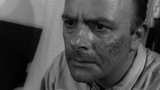 Night of the Living Dead - Backdrop