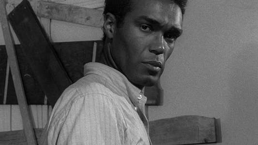 Night of the Living Dead - Backdrop