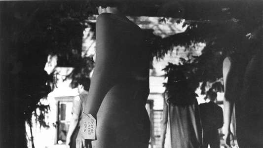 Night of the Living Dead - Backdrop
