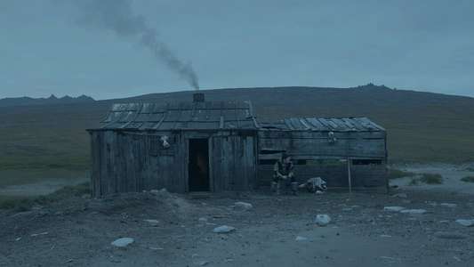 Haulout - Backdrops