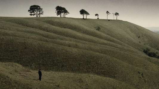 Nineteen Eighty-Four - Backdrop