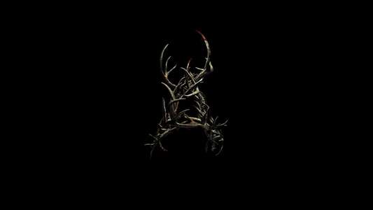 Antlers - Backdrops