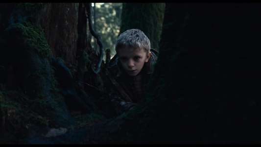 Antlers - Backdrops