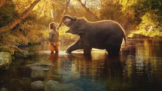 The Elephant Whisperers - Backdrops