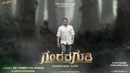 Gandhada Gudi - Backdrop